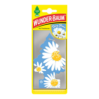 Wunder-Baum daisy flower Daisy flower